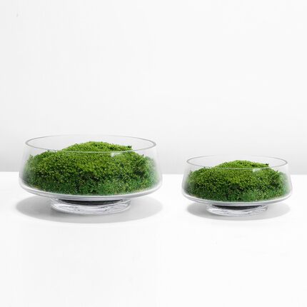 现代简约轻奢苔藓花瓶玻璃透明水培植物鲜花花瓶洽谈桌餐桌摆件