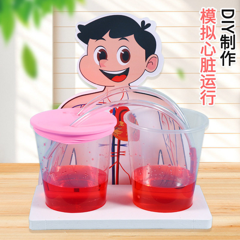 儿童手工科技小制作DIY模拟心脏运行小实验生物血液循环教具材料