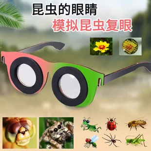 科技小制作昆虫的眼睛多棱镜复眼diy科学小实验儿童玩教具材料包