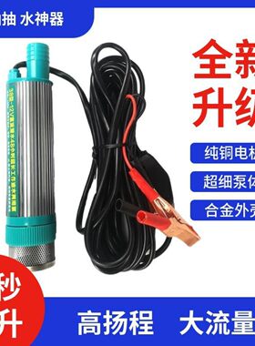 12v抽水水泵抽油泵220v插电充电锂电池24V潜水泵家用浇水园林抽水
