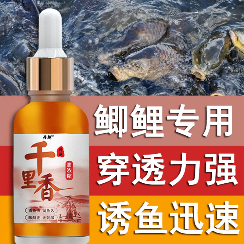 高浓缩诱鱼剂千里香干里香千鲤香小药秀鱼冬钓冰钓饵料添加剂低温