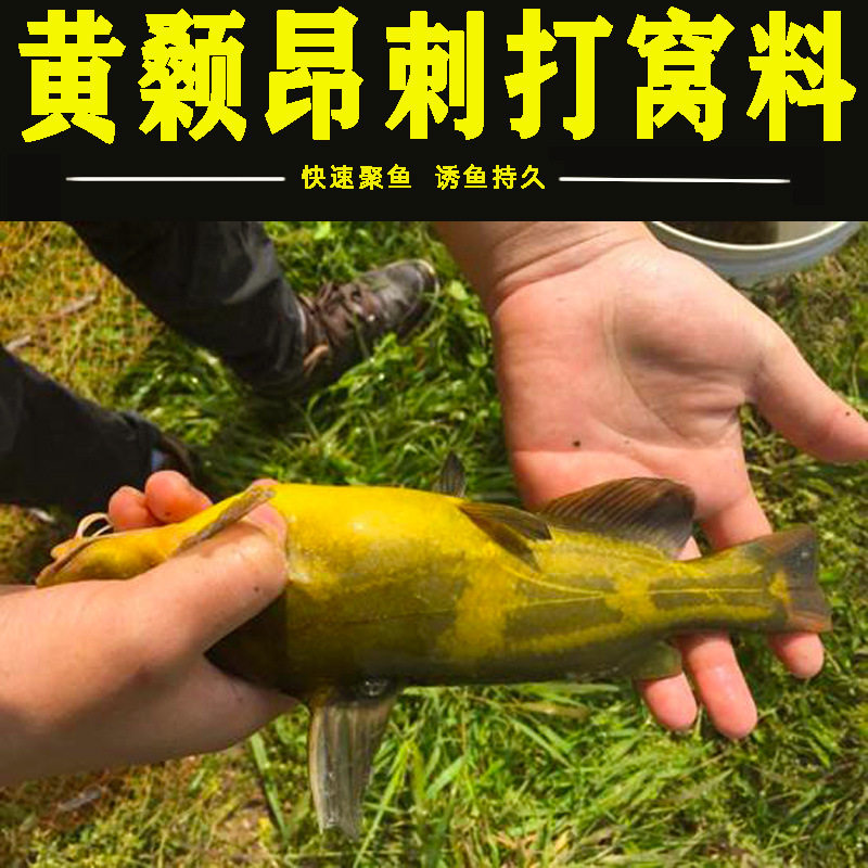 翁公鱼戈艾吱戈艾黄刺公疙阿戈雅鱼疙阿丁黄腊丁 嘎牙子钧鱼窝料