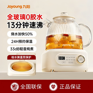九阳养生壶1L容量小型煮茶壶