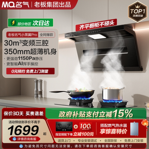 名气小黑翼顶测双吸油烟机自旋洗