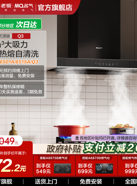 名气欧式抽油烟机家用厨房大吸力高温自清洁Q3吸油烟机老板出品