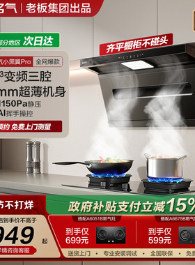 名气小黑翼Pro抽油烟机顶侧双吸厨房家用大吸力A586H补贴老板出品