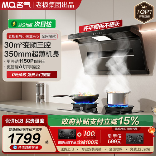名气小黑翼顶测双吸油烟机自旋洗