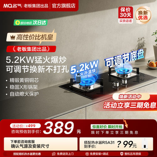 名气小尺寸燃气灶6110B
