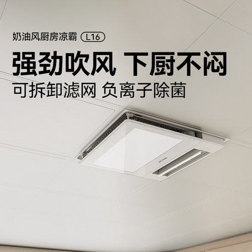 巴洛斯顿集成吊顶电风扇厨房