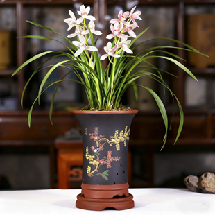精品兰花盆陶瓷盆栽室内紫砂高盆带底座蕙兰花盆透气花盆特价清仓