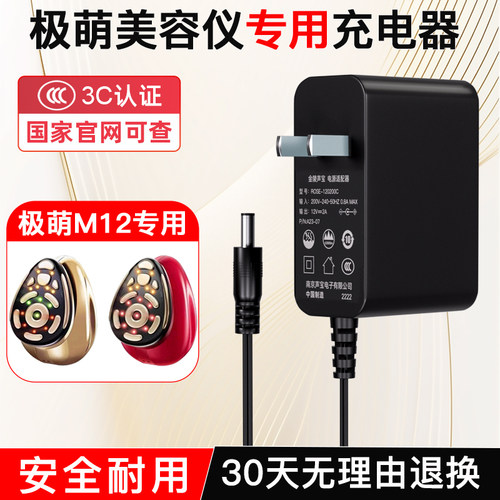 极萌大熨斗美容仪专用充电器