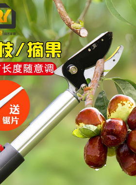伸缩摘果器高空采水果高枝剪锯摘枇杷神器高空剪荔枝剪树枝剪剪刀