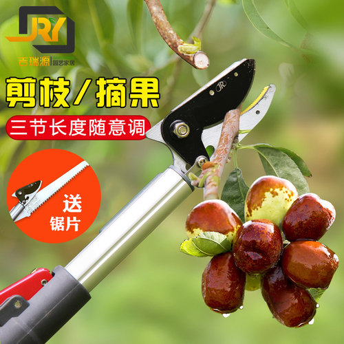 伸缩高空剪荔枝摘果器