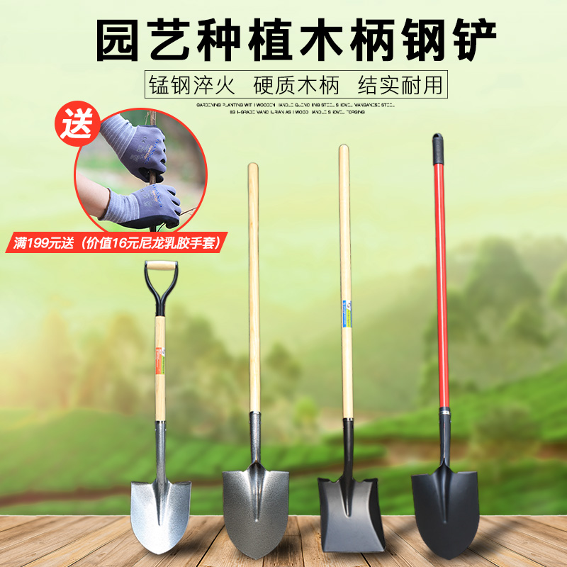 木柄铁铲铁锹头园林园艺种植户外图片