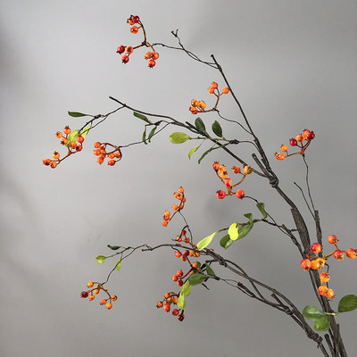 真花12头山归来浆果商场