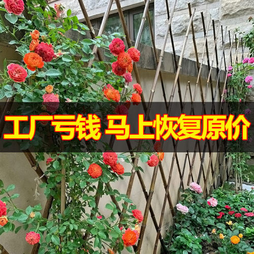 加粗加固自由伸缩竹篱笆