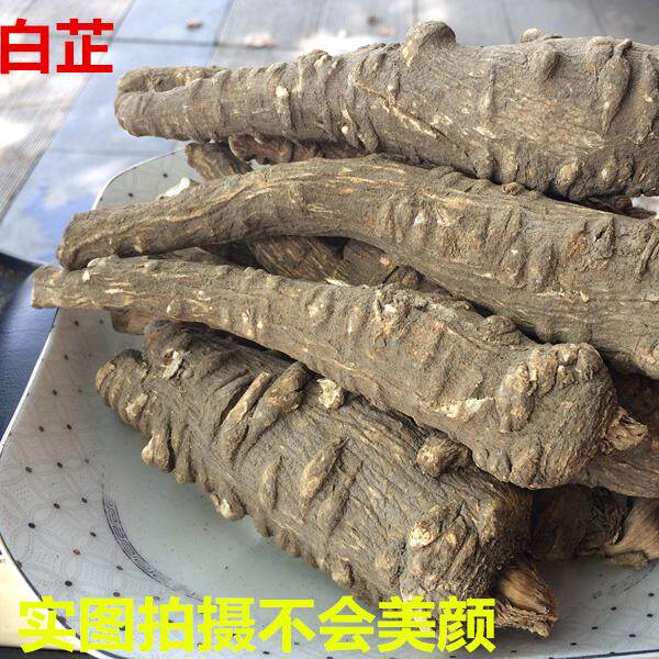 四川白芷根川白子止白止片白止中大条无硫磺烹饪卤料香料火锅