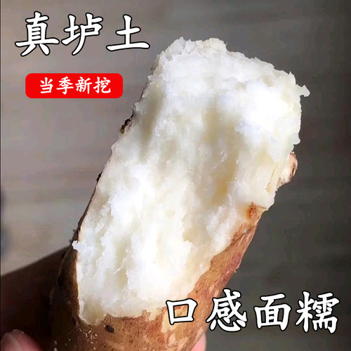 正宗河南焦作新鲜垆土铁棍山药