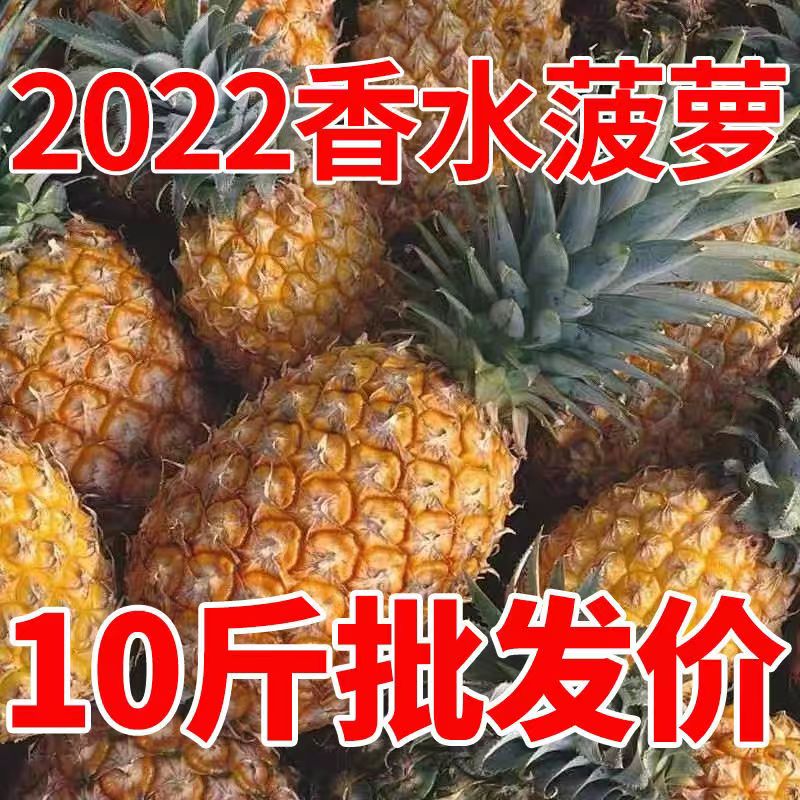 现摘云南香水菠萝5斤当季新鲜水果当箱包邮9-10斤菠萝小凤梨甜波