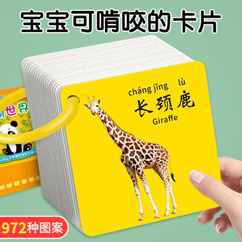 识字卡片早教启蒙书儿童益智玩具