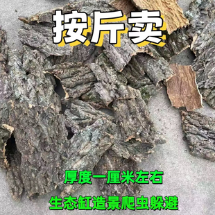 香槟树皮不规则碎料天然软木树皮垫材爬虫躲避生态雨林爬宠缸造景