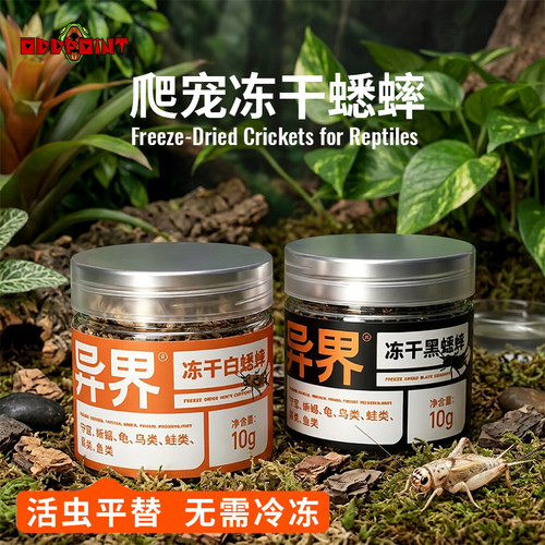 异界爬宠蟋蟀冻干非活体饲料