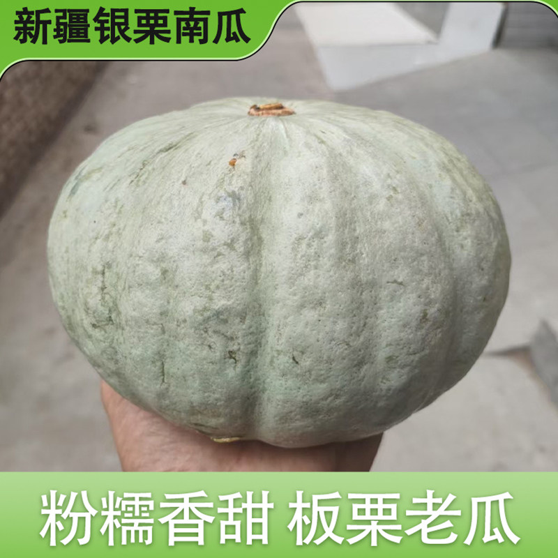 新疆银栗南瓜老南瓜板栗味粉糯甜新鲜贝贝大南瓜蔬菜辅食贵族窝瓜,水产肉类/新鲜蔬果/熟食,南瓜,淘宝优惠券,粉丝福利购,淘宝优惠卷