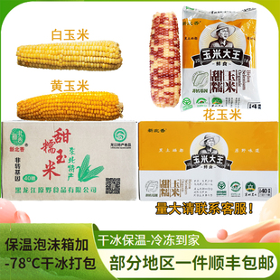 新北香非转基因新鲜速冻甜糯玉米40穗一箱包邮