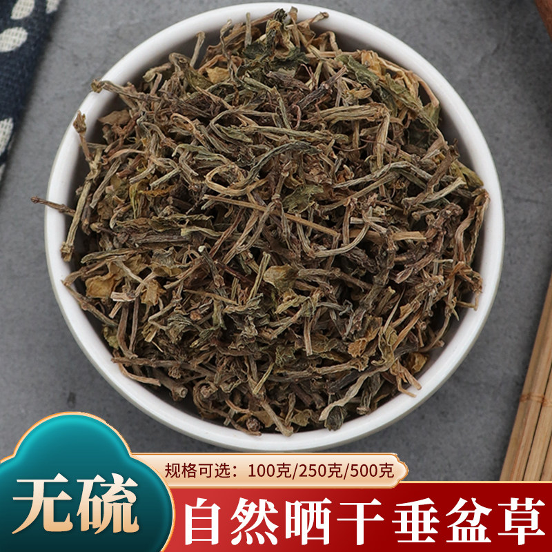垂盆草500g克正品泡茶中药材泡水干垂盆草锤盆草干货天然无硫包邮