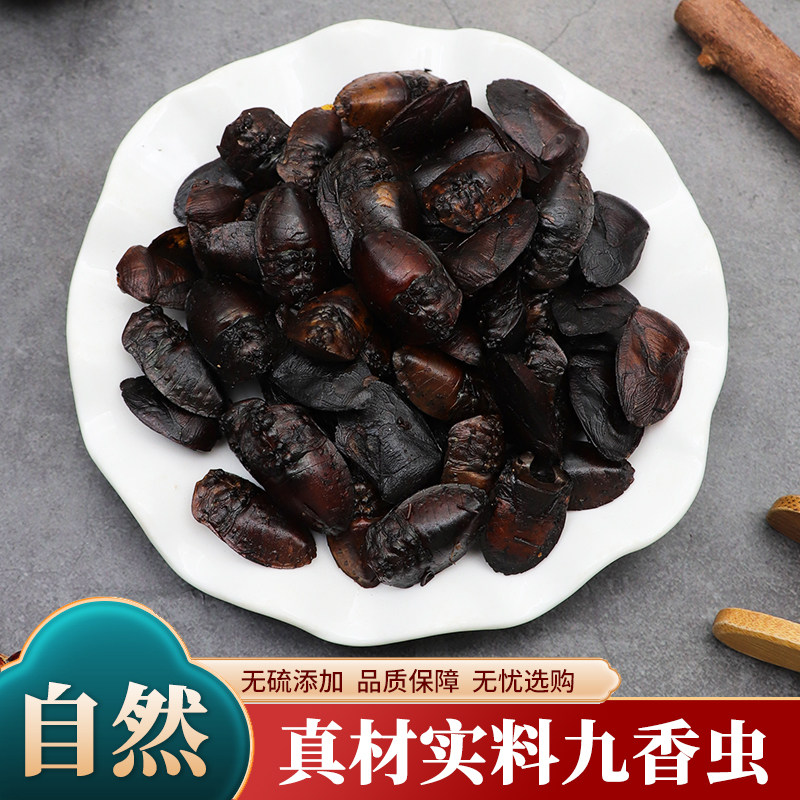 九香虫中药材野生九香虫正品新货打屁虫屁巴虫臭壳子虫无硫包邮