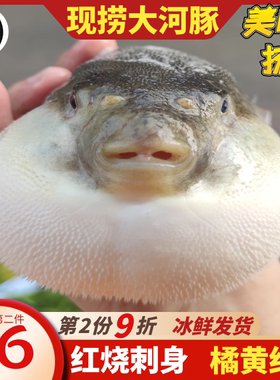 扬中江水养殖河豚现杀礼盒可红烧