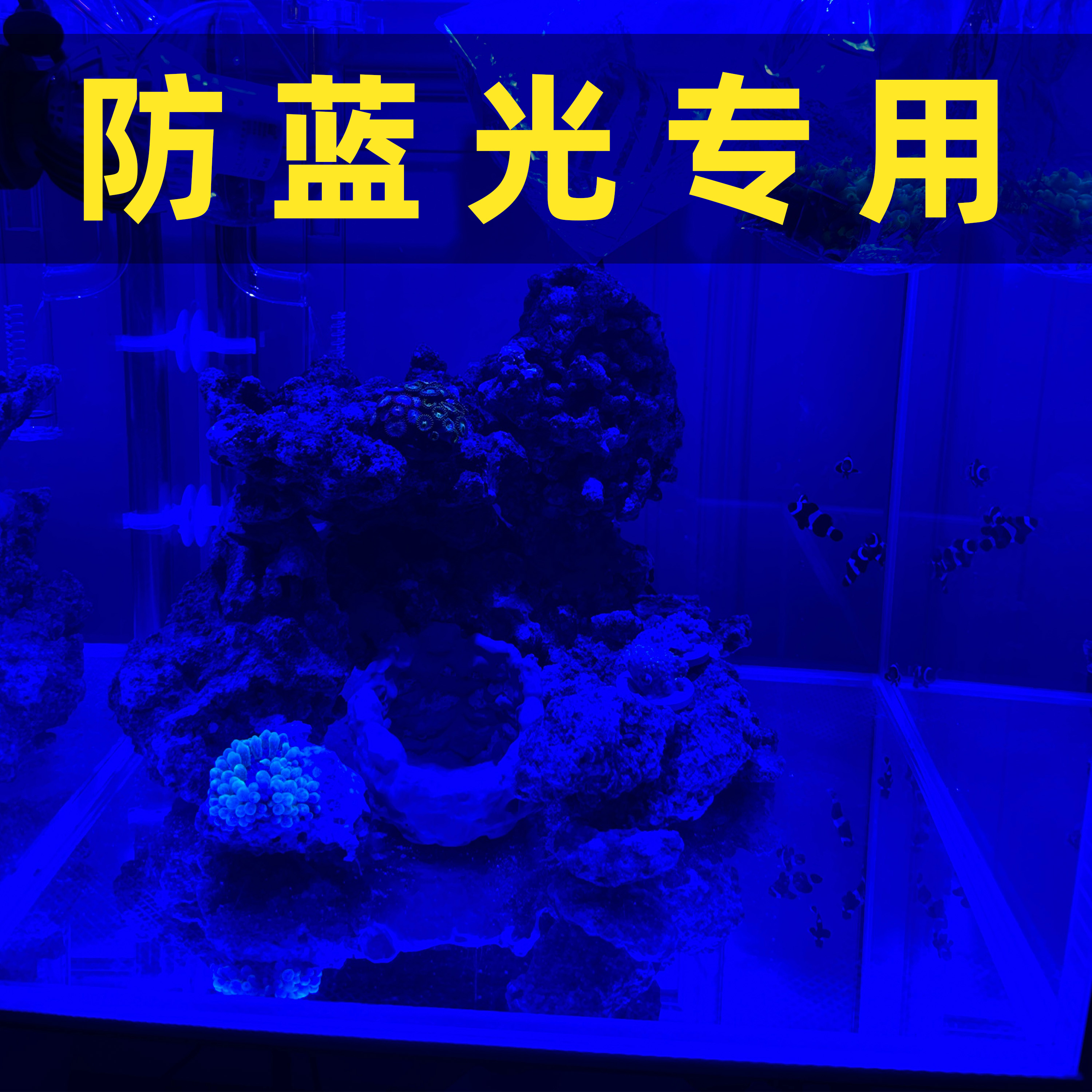 海缸膜海水缸珊瑚缸过滤蓝光海缸