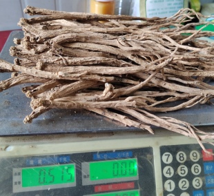 25年新产干党参炖汤配料炖罐煲汤中国党参之乡原产地农家中大条