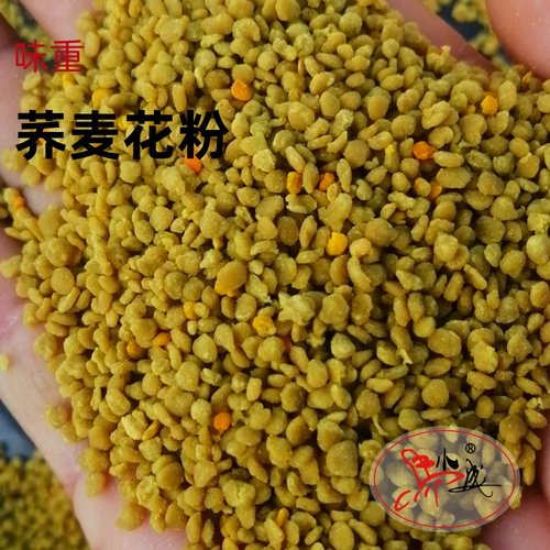 荞麦蜂花粉新鲜味重马小成甘肃