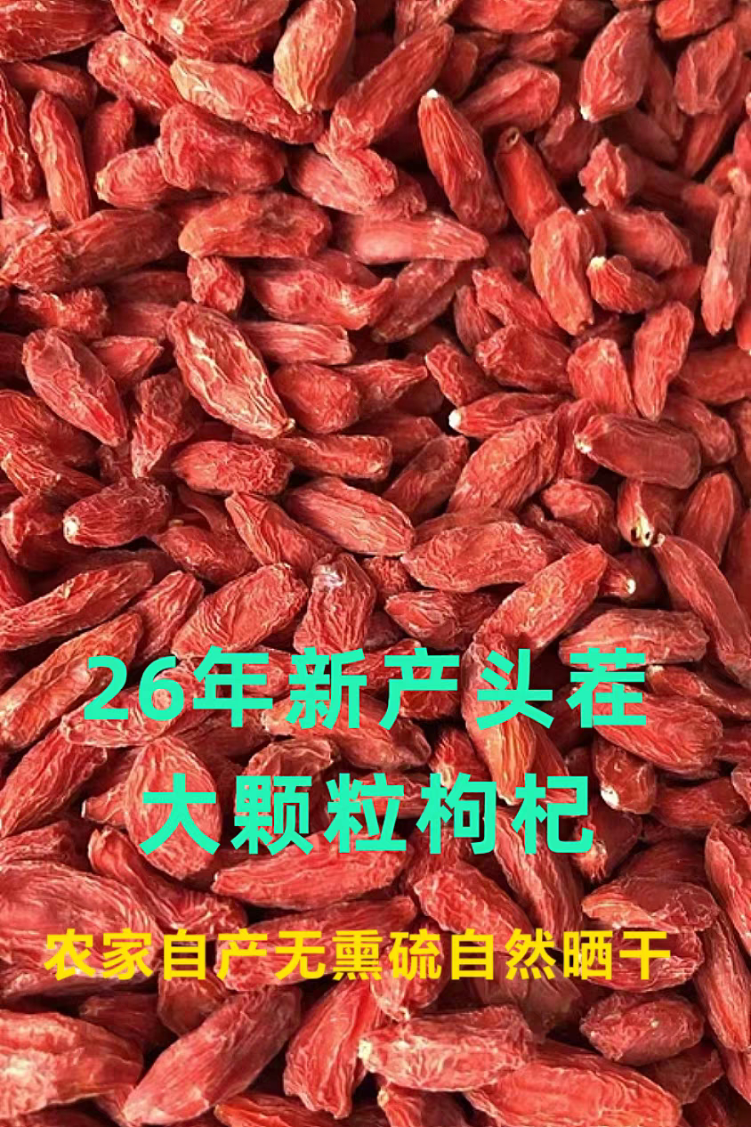 26年甘肃农家自产枸杞子头茬大粒正宗红枸杞干吃泡酒煲汤非宁夏产图片