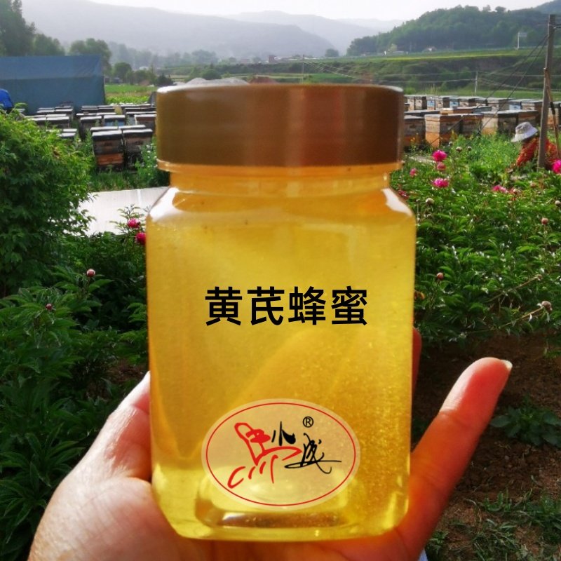 黄芪蜂蜜马小成蜂场原蜜自产结晶甘肃黄芪药材原产地真蜂蜜清香