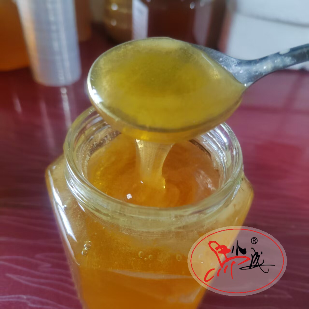 26年马小成五倍子蜂蜜蜂场原蜜自产有药香味微苦新鲜液态真蜂蜜