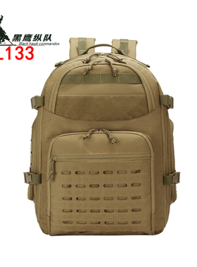 户外徒步登山包战术双肩包龙蛋突击防水旅行背包男女大容量通勤包