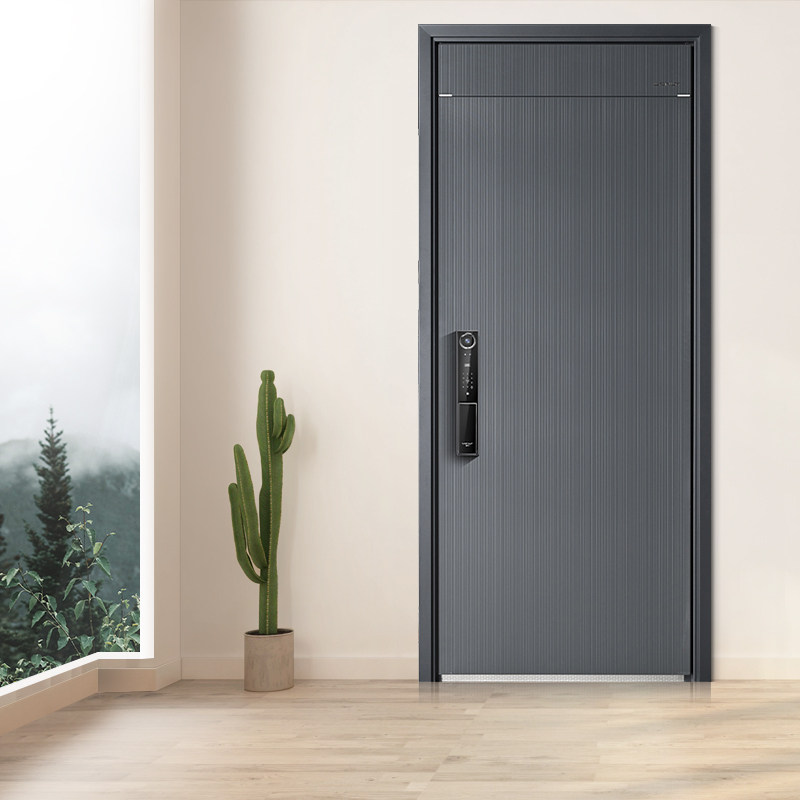 WL王力安全防盗门入户门进户门子母门家用大门GL2502Z