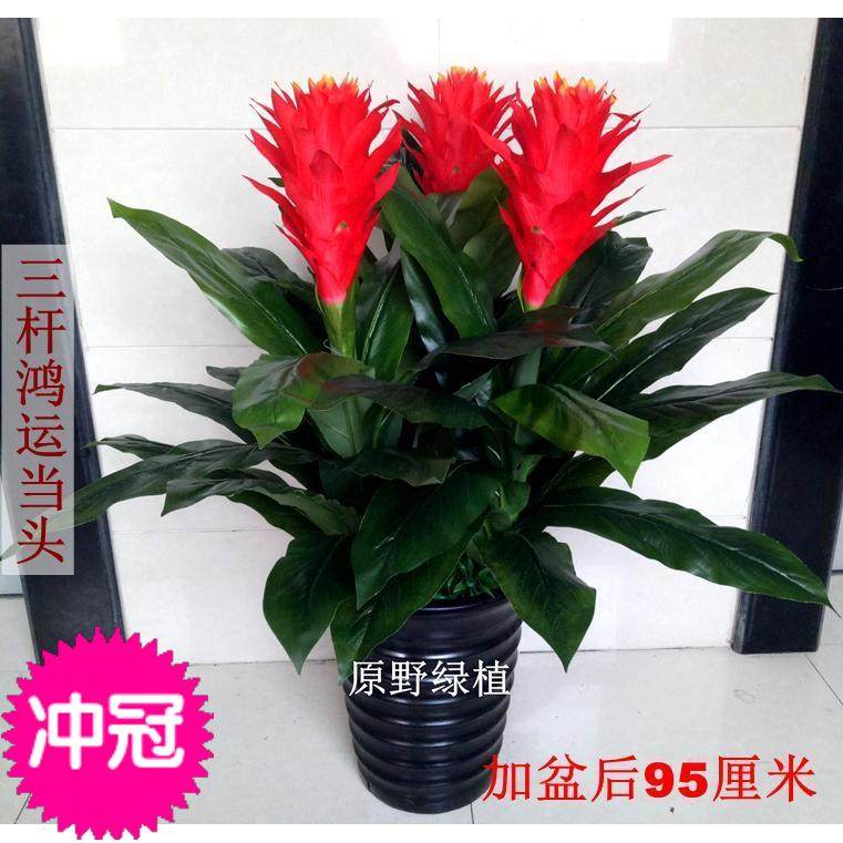 惊爆鸿运当头塑料花艺田园装饰大型办公室客厅落地盆栽仿真绿植,鲜花速递/花卉仿真/绿植园艺,仿真绿植,淘宝优惠券,粉丝福利购,淘宝优惠卷