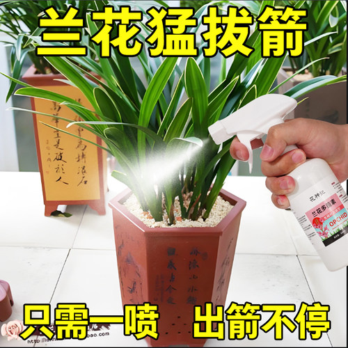 兰花多箭素爆芽素营养液免稀释