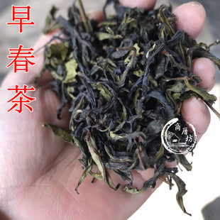 商厝坊 头采春茶福建诏安八仙茶野生高山茶特级清香乌龙茶包邮