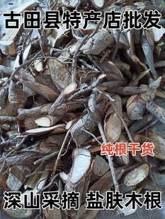 野生盐肤木根 中草药五倍子树根浦连盐叛奴盐 盐霜柏纯根干货包邮