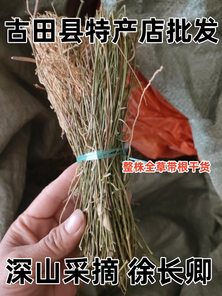 野生全草徐长卿 中草药材 瑶山竹 了刁竹 别仙踪 对节莲 竹叶细辛