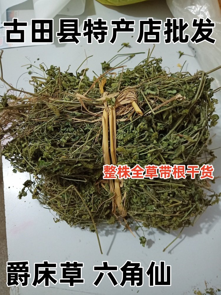 野生爵床 中药材六角仙 小青草 六角英 野万年青整株全草干货包邮