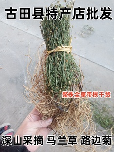 深山马兰草 中草药材 田边菊 路边菊 泥鳅串 原生态整株全草晒干