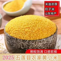 山东五莲新小米黄小米金谷农家优质粮食新鲜吃的米脂月子米宝宝米