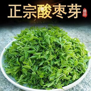 野生酸枣芽茶2026年泰山酸枣叶茶山枣叶茶酸枣仁叶茶新芽上市尝鲜