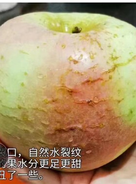 苹果水果五莲高山老品种