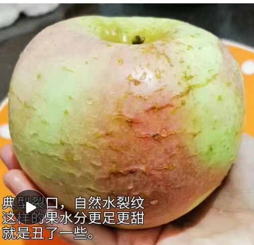 苹果水果五莲高山老品种